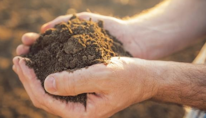 稀土礦多少錢一噸？現(xiàn)在是漲了還是降了？